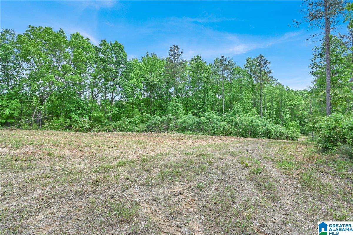 40 acres COUNTY ROAD 1208 N/A