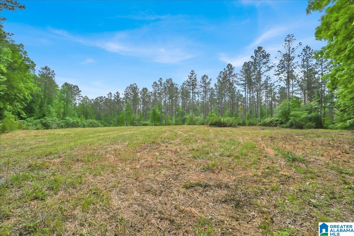 40 acres COUNTY ROAD 1208 N/A