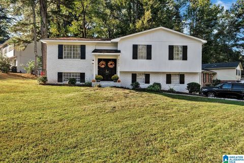 5243 PARAMONT DRIVE IRONDALE AL 35210