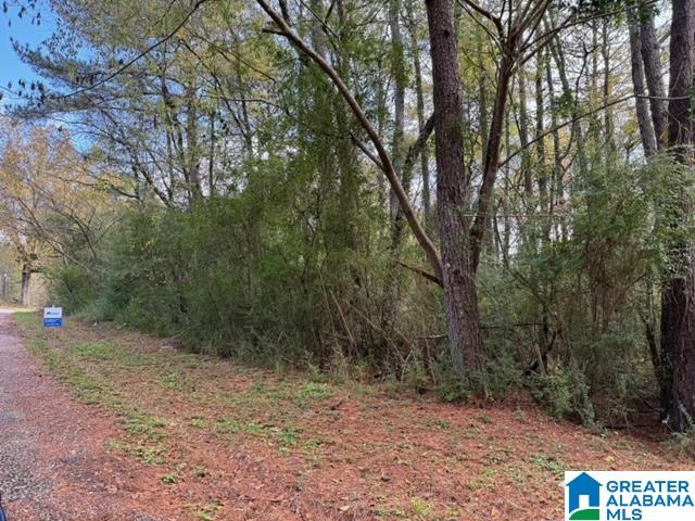 Photo 1 of 3 — 2201 WHITE POST ROAD 0, BESSEMER, AL 35023