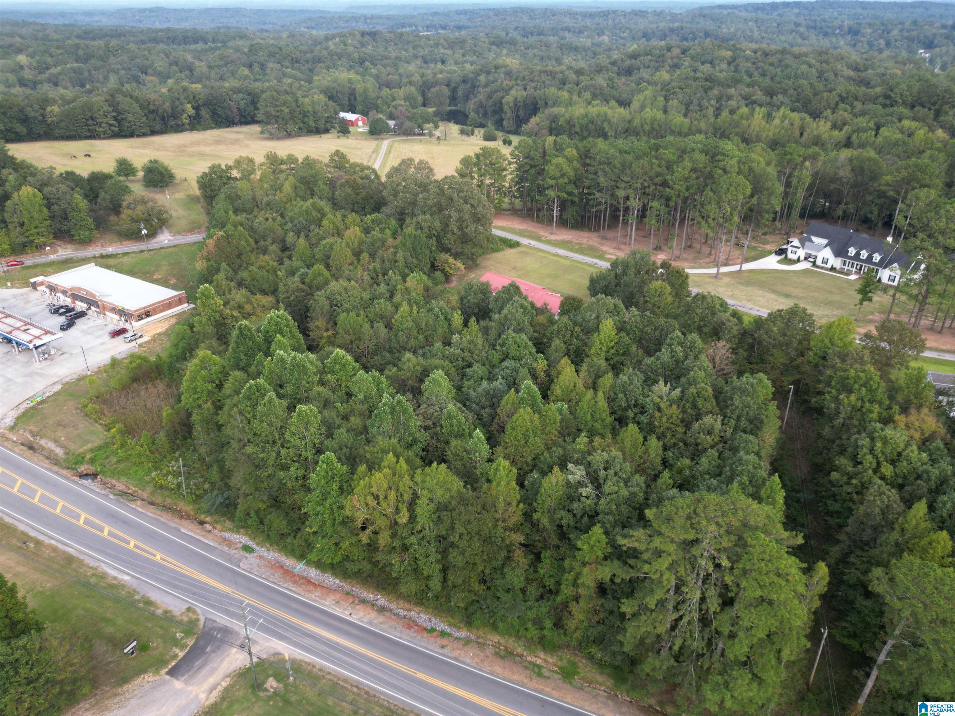 00 HIGHWAY 160 Tract 1 Edwards Subdivision