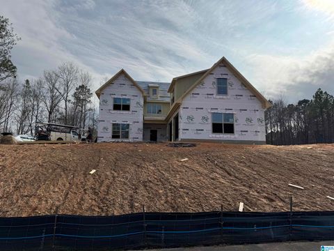 3269 RIVERBIRCH TRAIL CHELSEA AL 35043