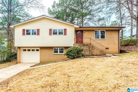 506 VARDAR LANE IRONDALE AL 35210