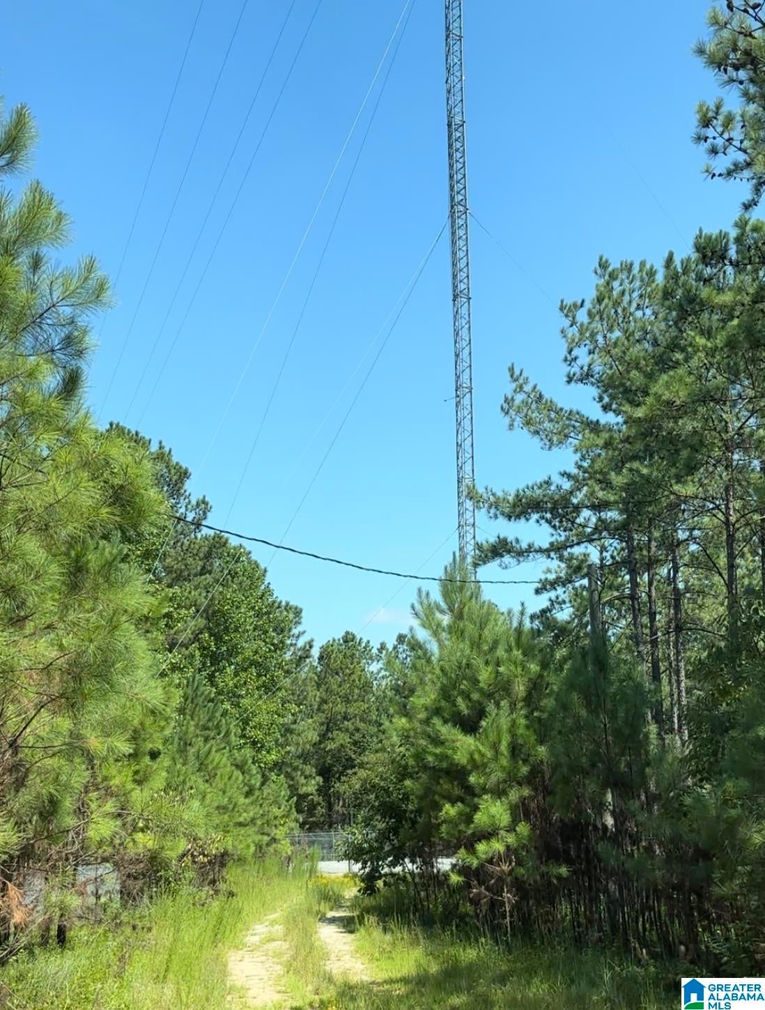 COUNTY ROAD 831 Tract #1 20± AC