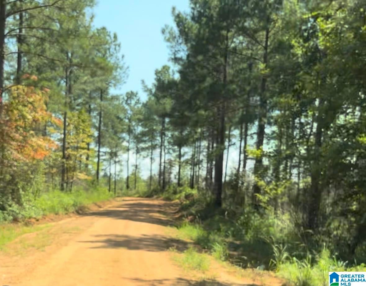 COUNTY ROAD 831 Tract #1 20± AC