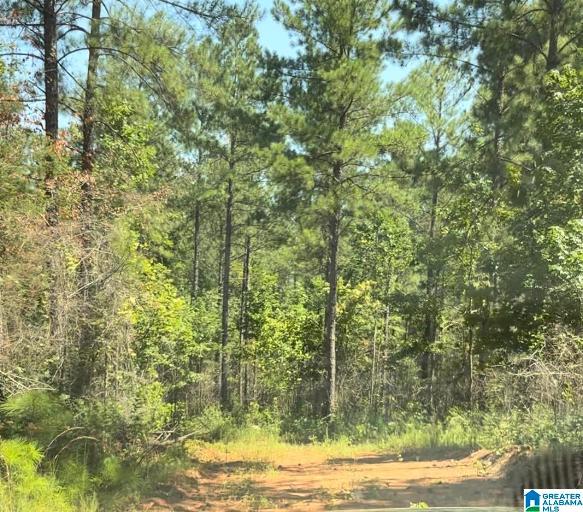 COUNTY ROAD 831 Tract #1 20± AC