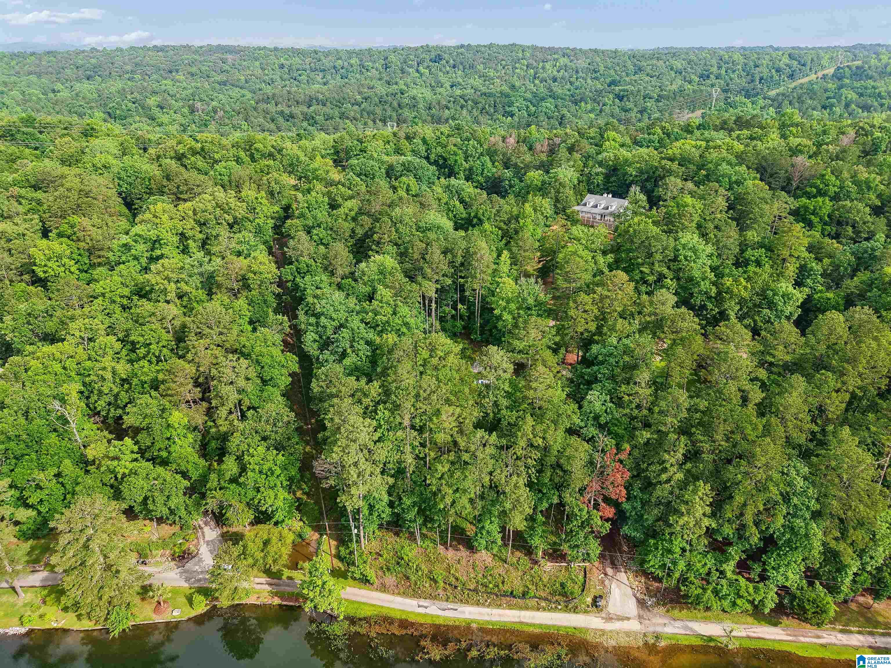 526 CAHABA SPRINGS DRIVE 10.005