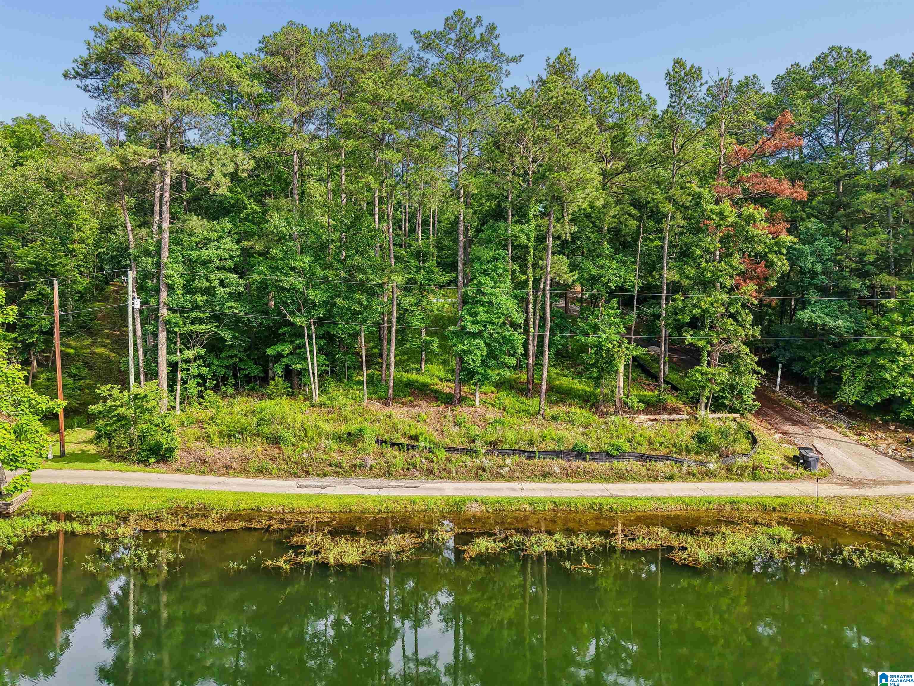 526 CAHABA SPRINGS DRIVE 10.005