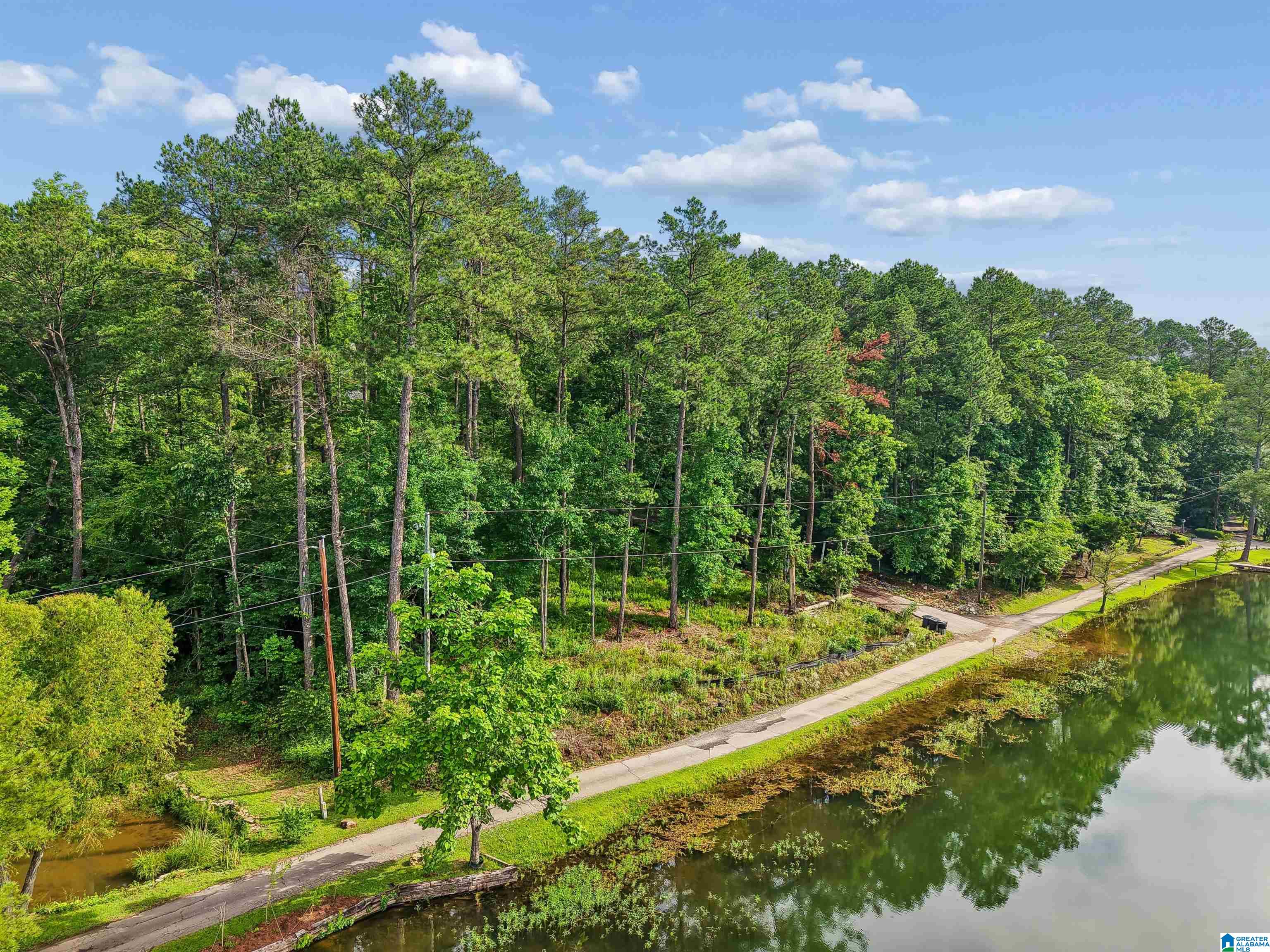 526 CAHABA SPRINGS DRIVE 10.005