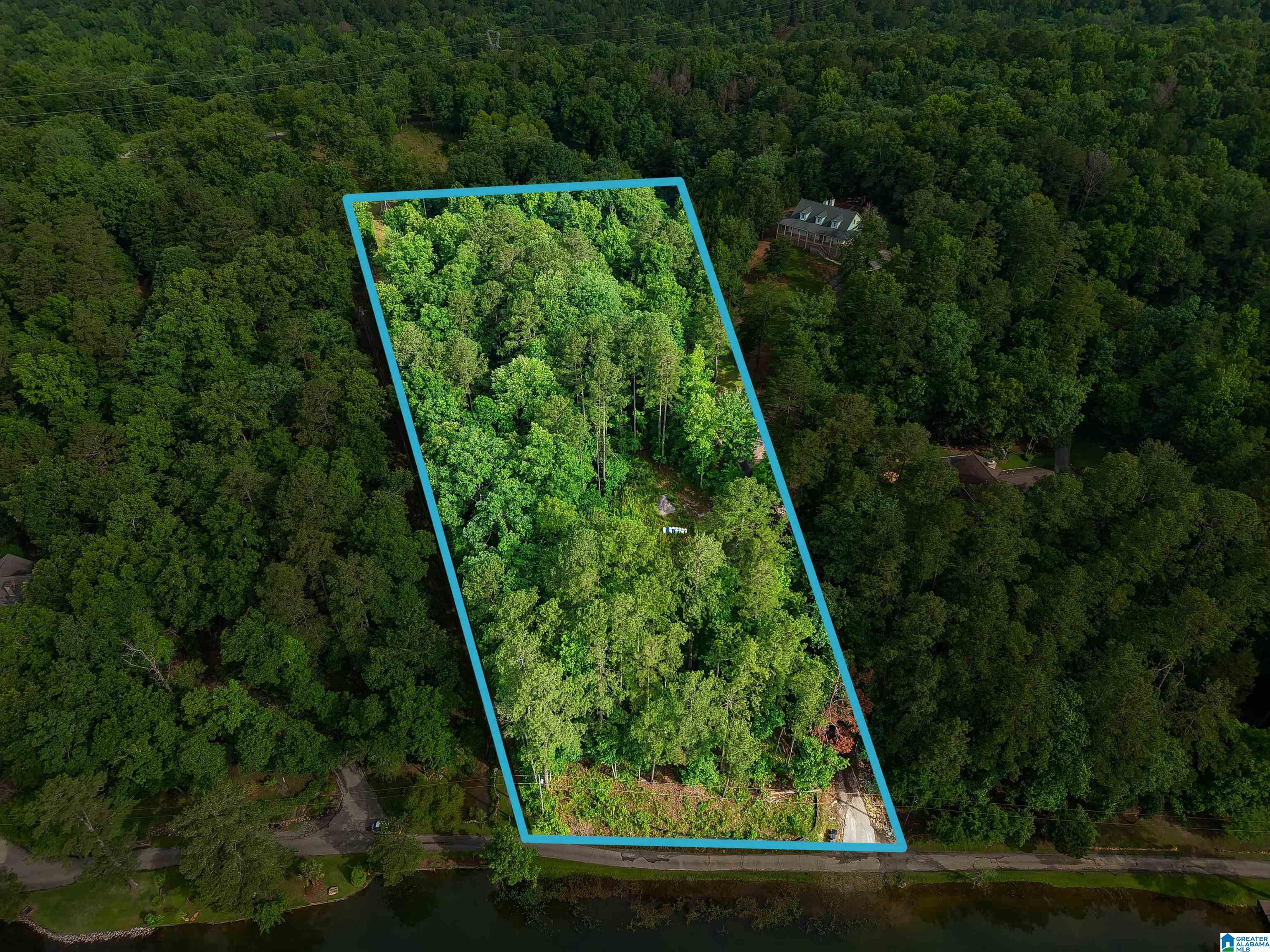 526 CAHABA SPRINGS DRIVE 10.005