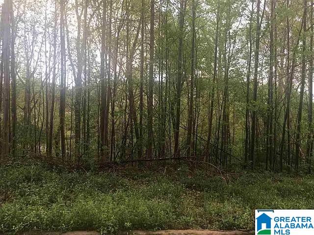 Photo 1 of 1 — 6783 IVY WAY 6, TRUSSVILLE, AL 35173