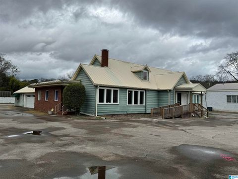 6134 US HIGHWAY 11 SPRINGVILLE AL 35146