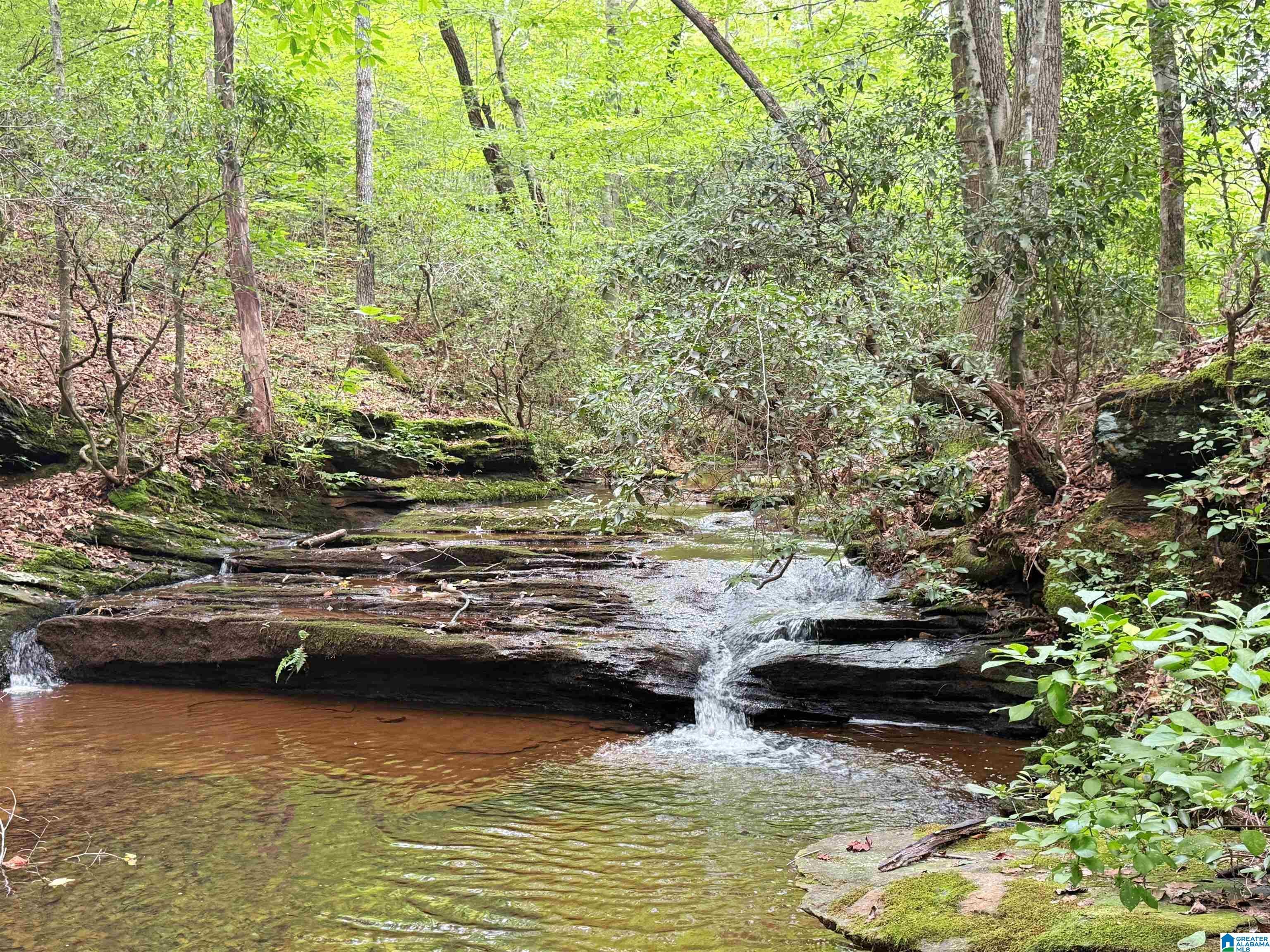 4264 COUNTY ROAD 61