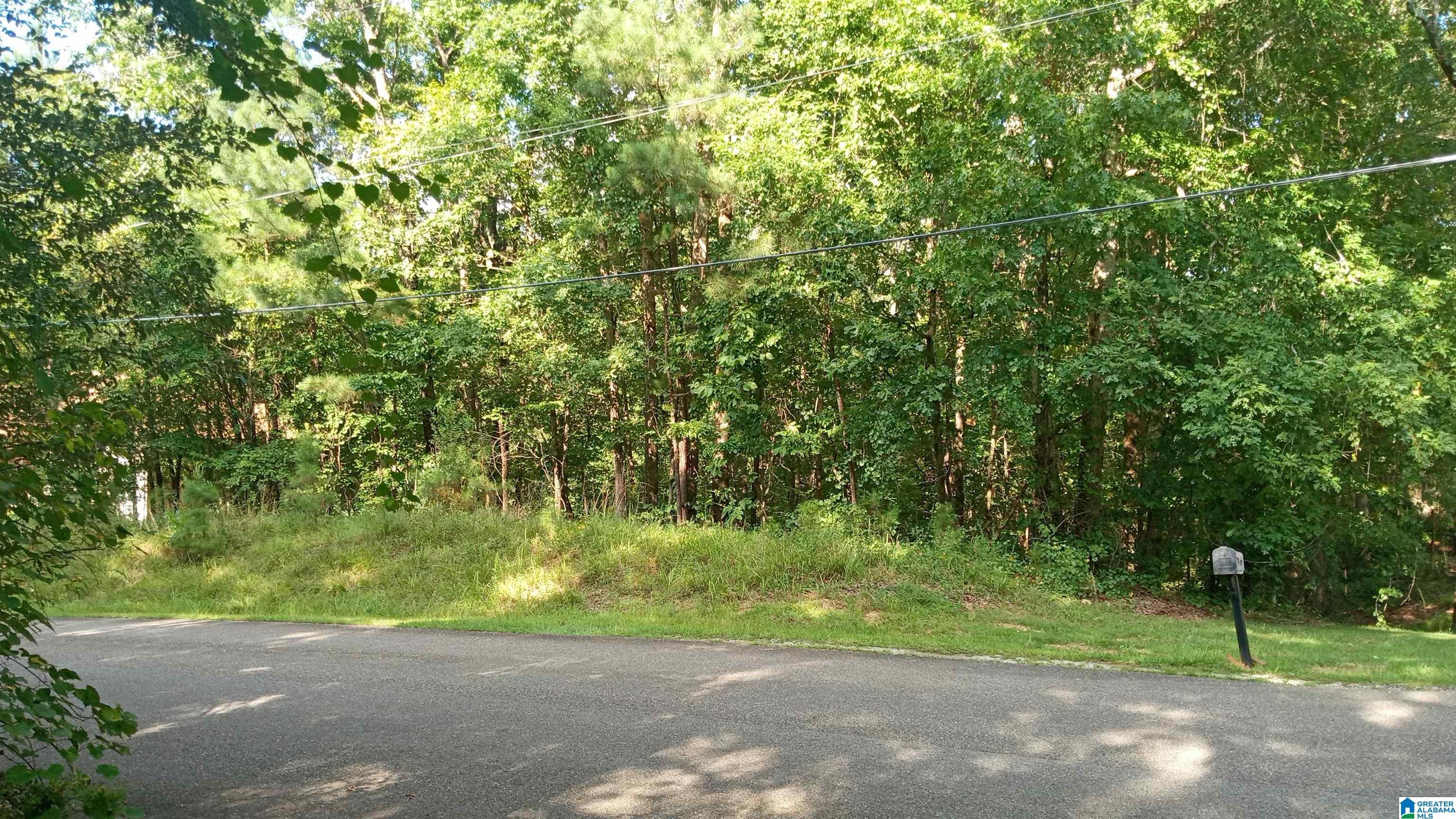 PEYTON DRIVE 7