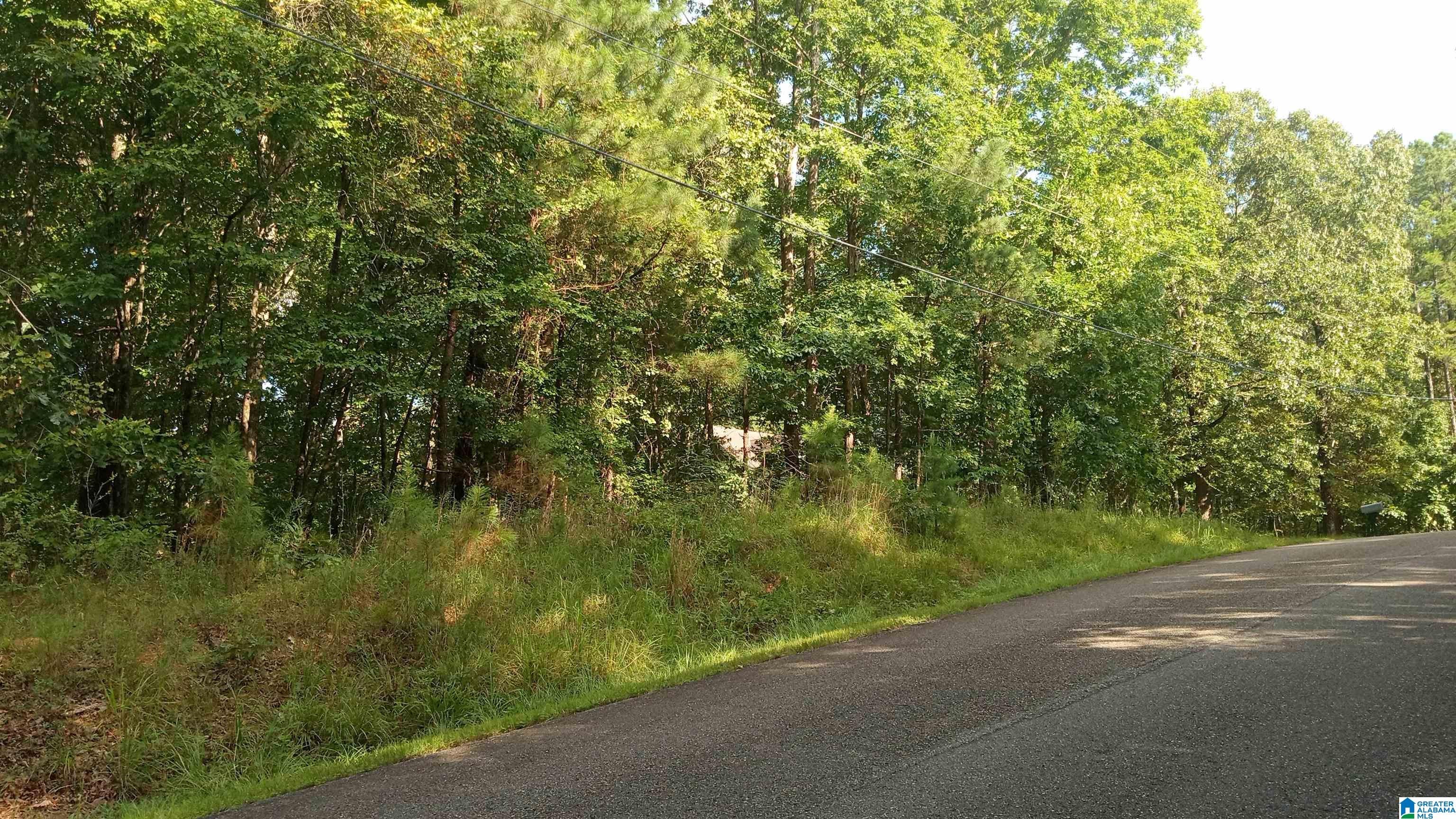 PEYTON DRIVE 7