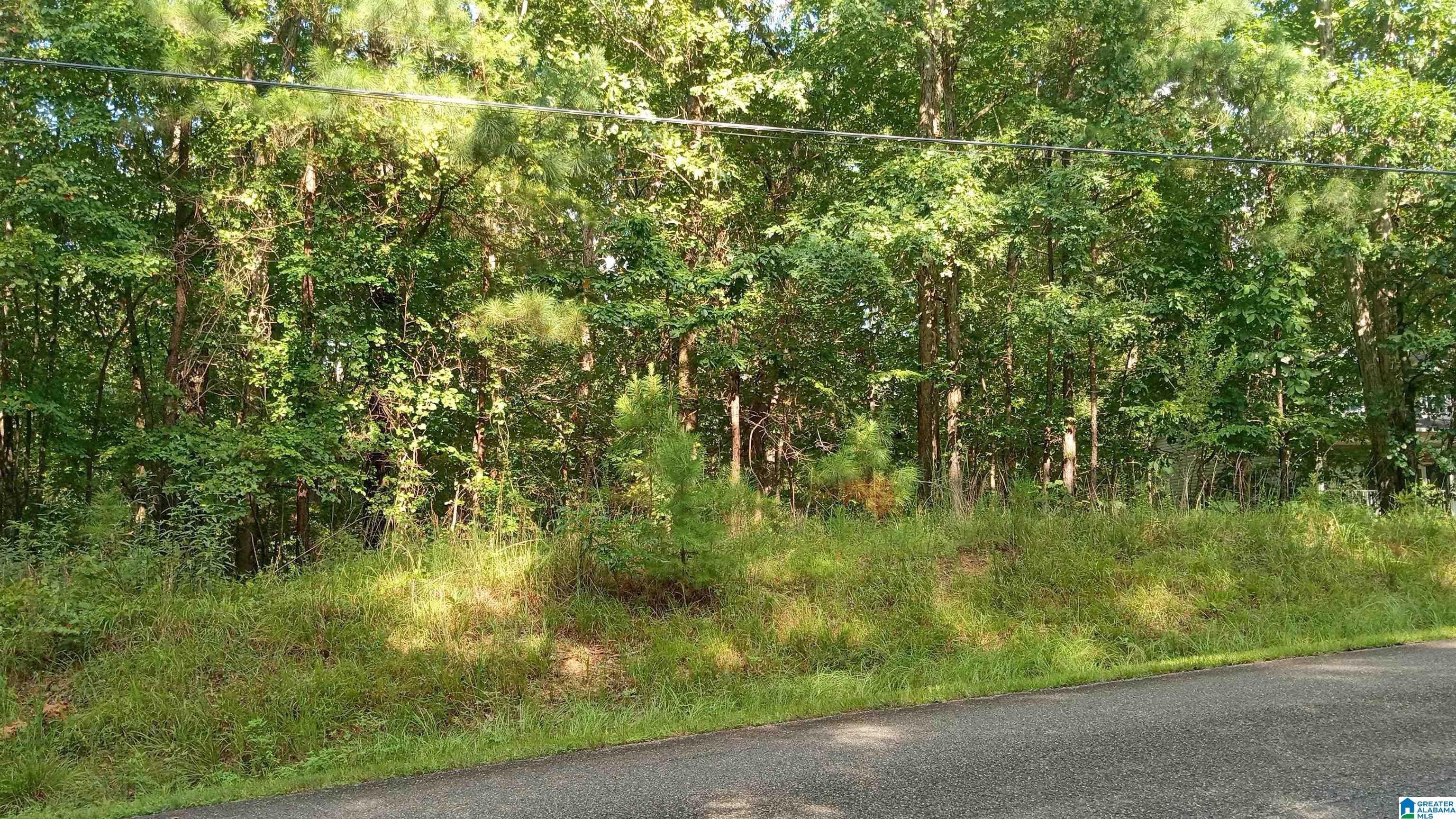PEYTON DRIVE 7