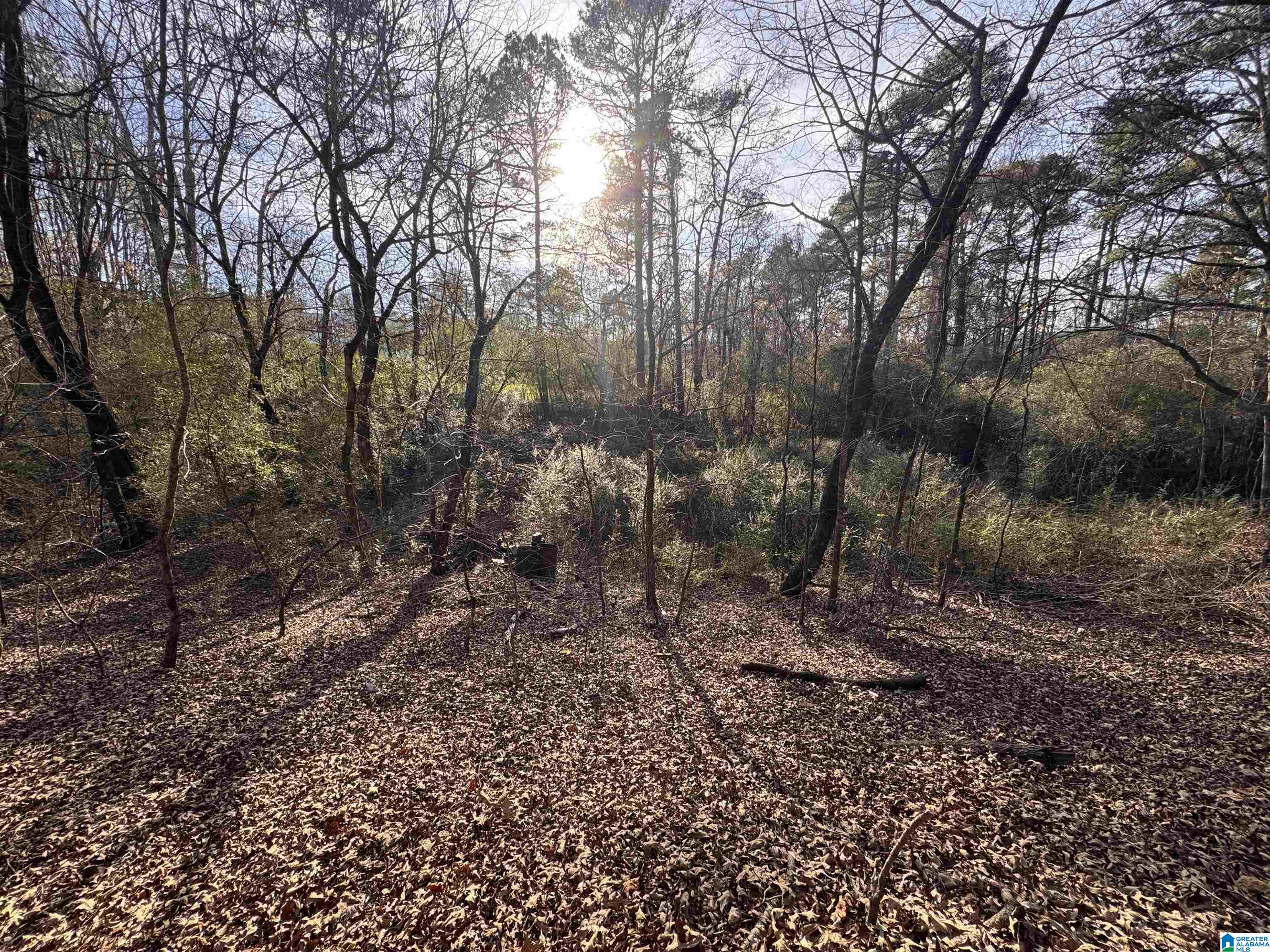 5415 CLAY PALMERDALE ROAD 18 & 19