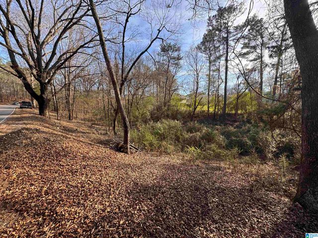 5415 CLAY PALMERDALE ROAD 18 & 19