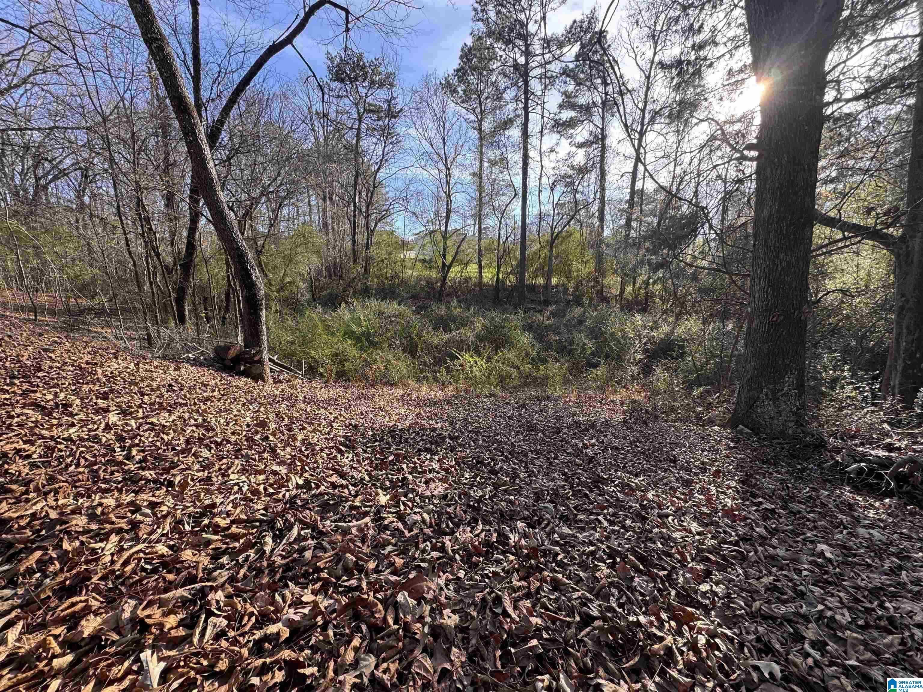 5415 CLAY PALMERDALE ROAD 18 & 19