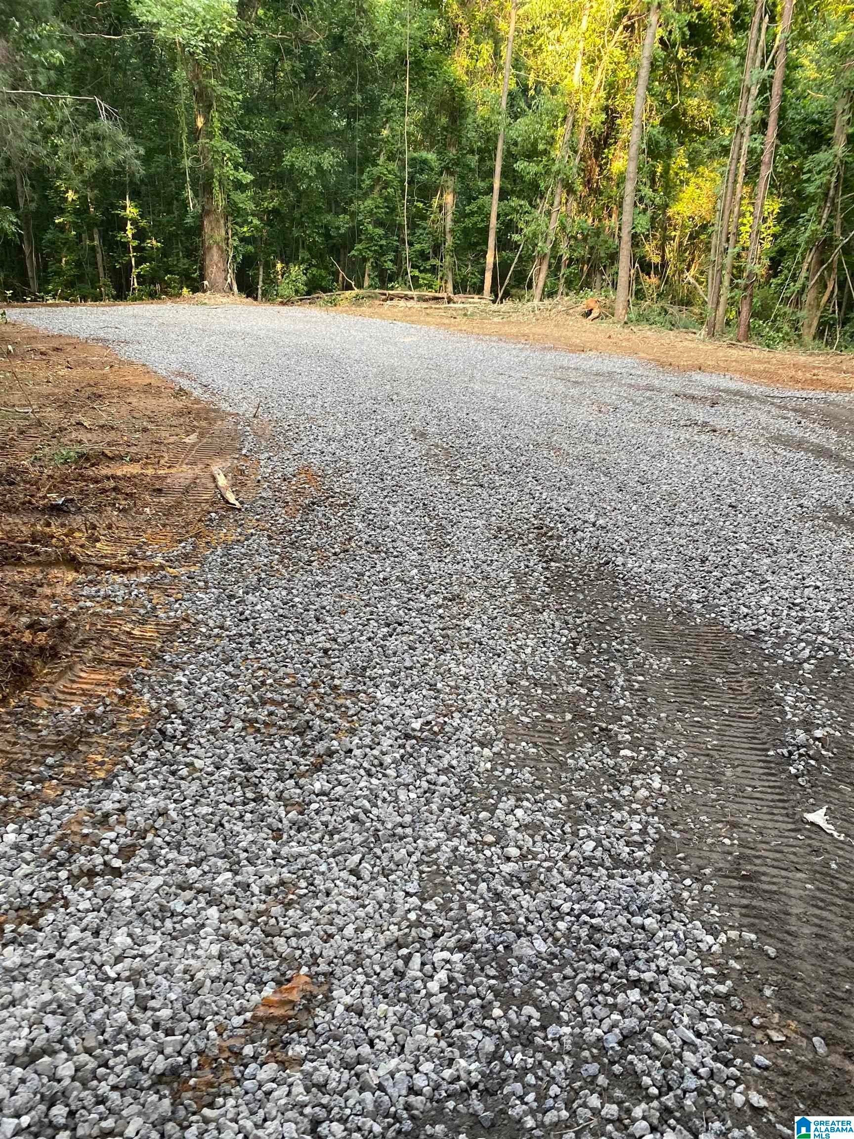 581 BUDDY VINES CAMP ROAD 0