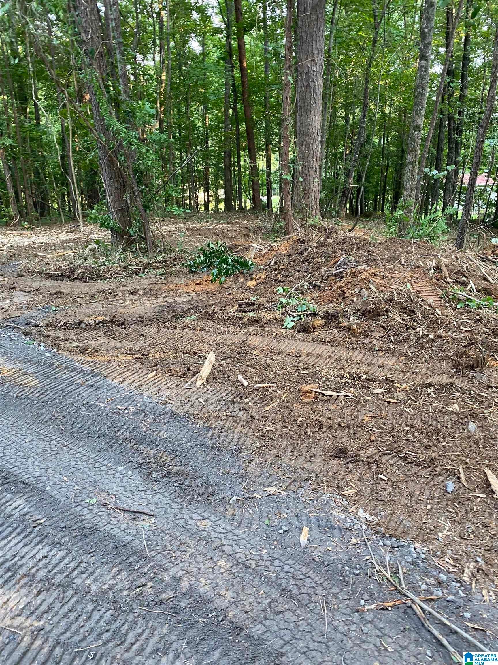 581 BUDDY VINES CAMP ROAD 0