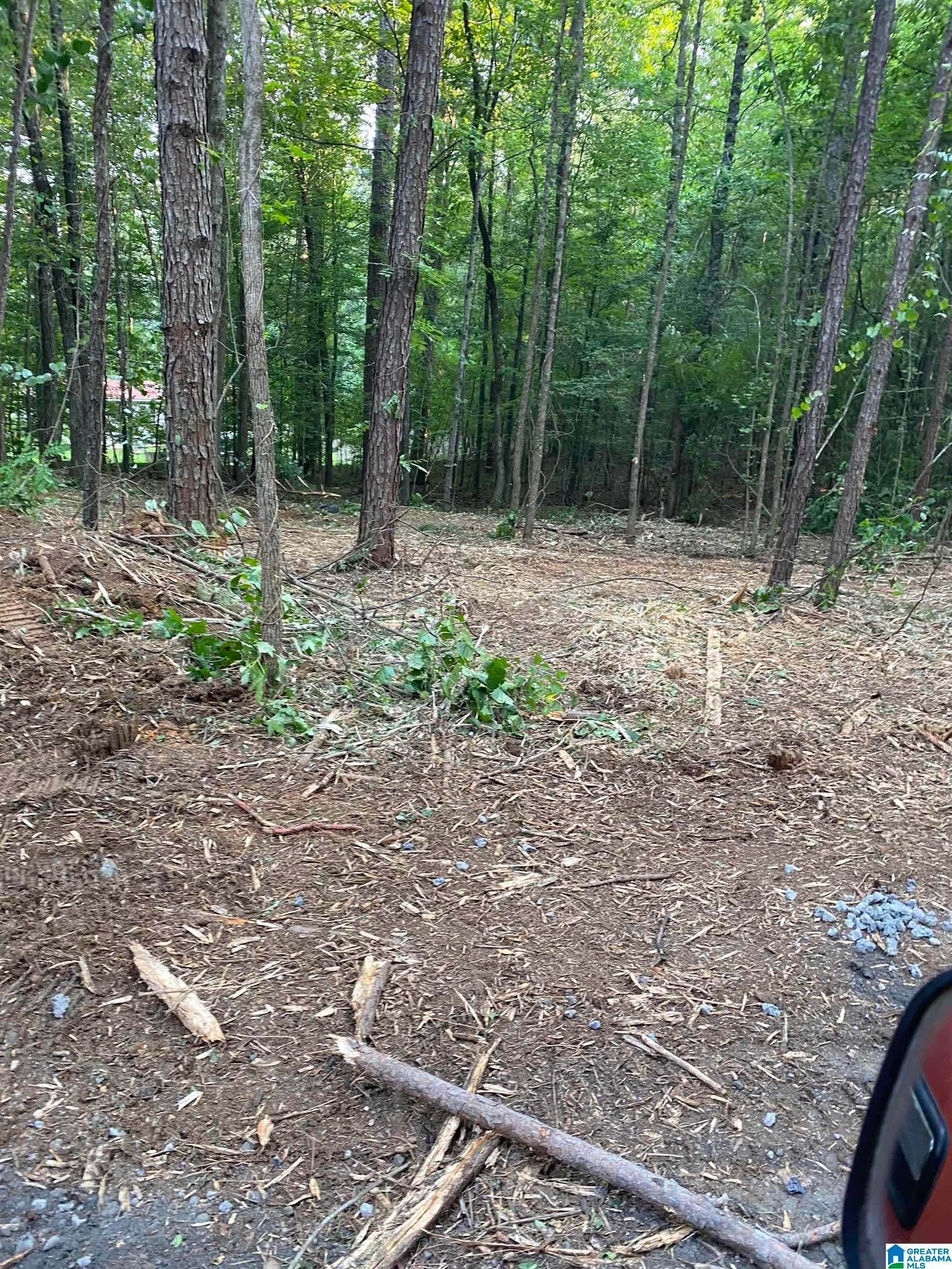 581 BUDDY VINES CAMP ROAD 0