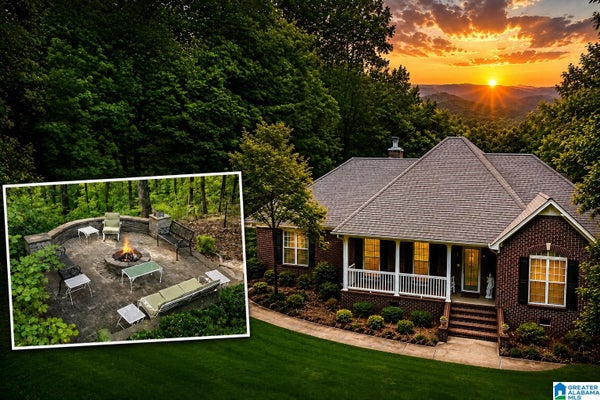 8024 FRIENDSHIP MOUNTAIN LN, SPRINGVILLE, AL 35146 - Image b6c11dac2c255e442378dfd9c3ce38c6/918316504