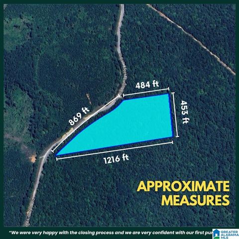 001 INDIAN CREEK CUTOFF ROAD 00 DUNCANVILLE AL 35456