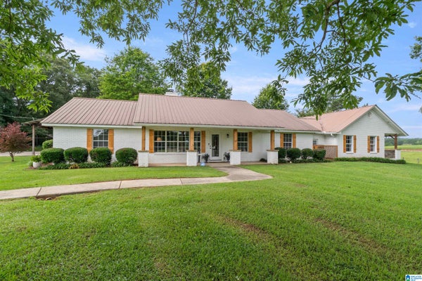 2454 BLUE SPRINGS RD, WILSONVILLE, AL 35186 - Image b6d4cdcd81fa3cbb5e6347fd9506f200/1239678573