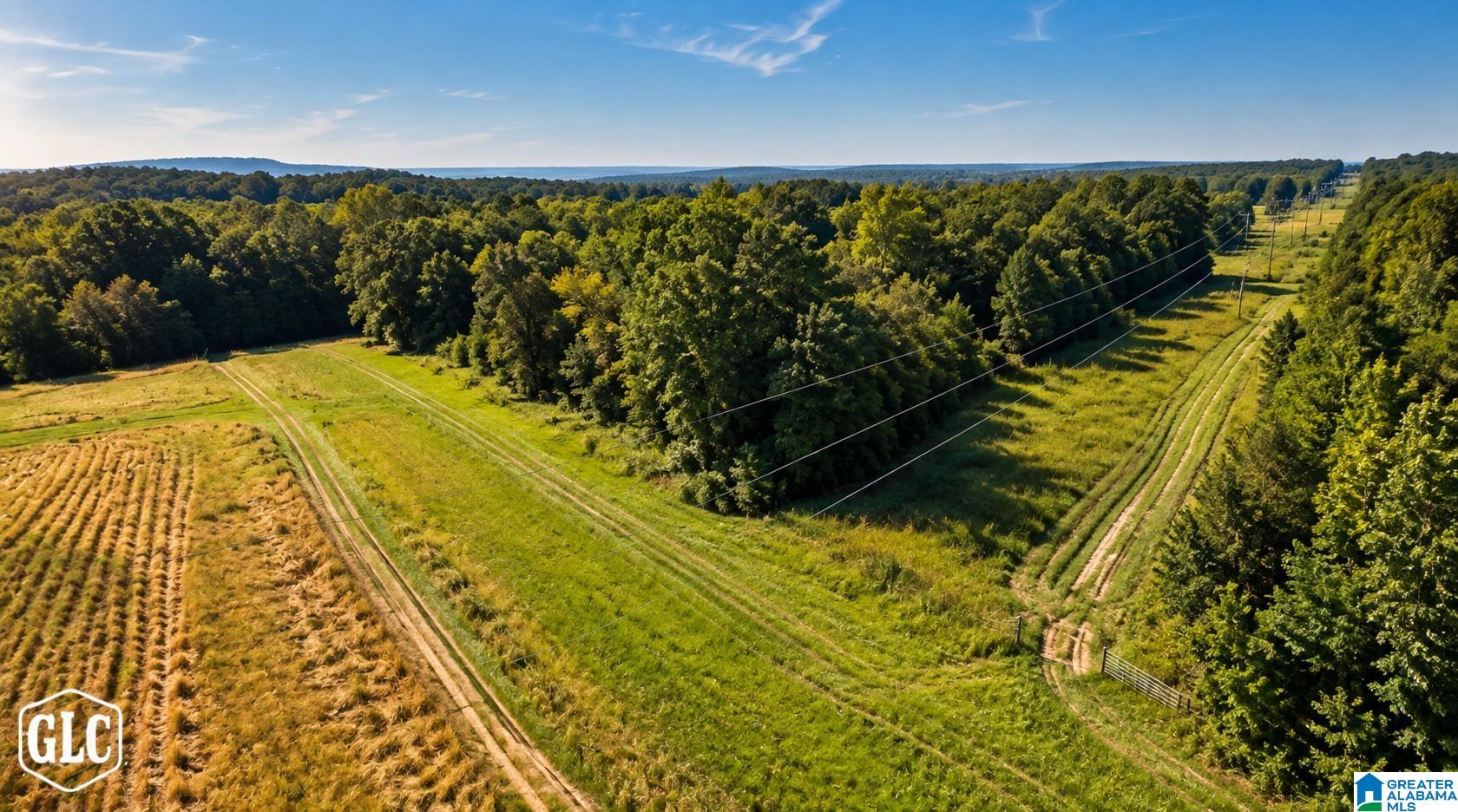 288 SEVEN SWEET GUMS ROAD 1