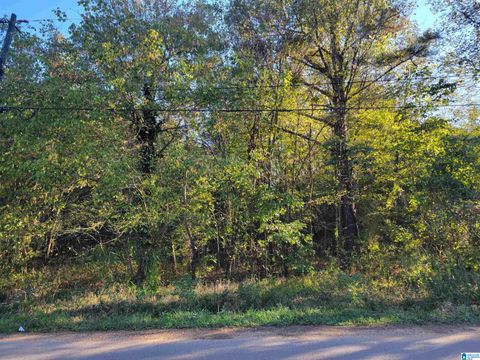 304 PINE STREET SW 0.24.000 BESSEMER AL 35022