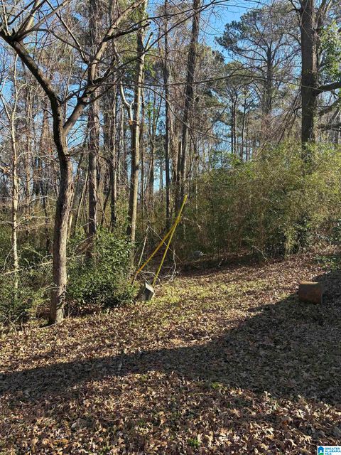 255 LAIRD AVENUE 1 HUEYTOWN AL 35023