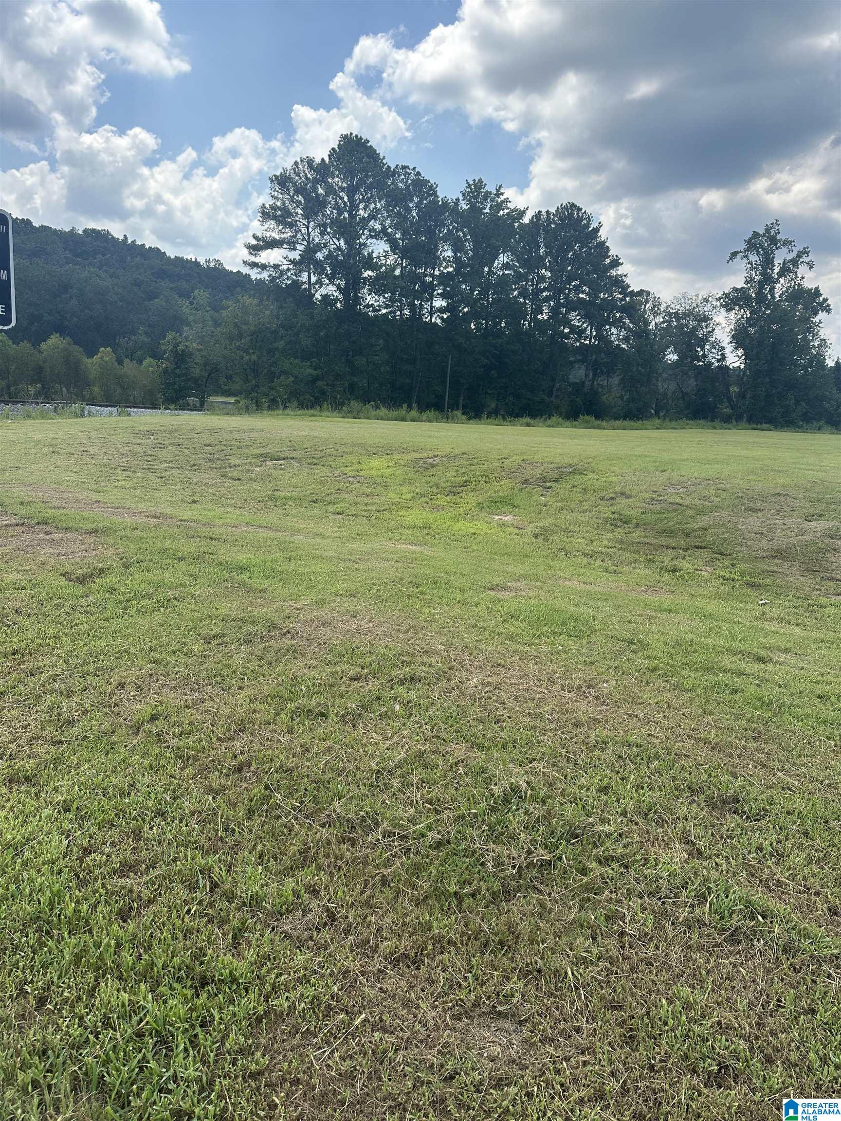 6690 GADSDEN HIGHWAY 1