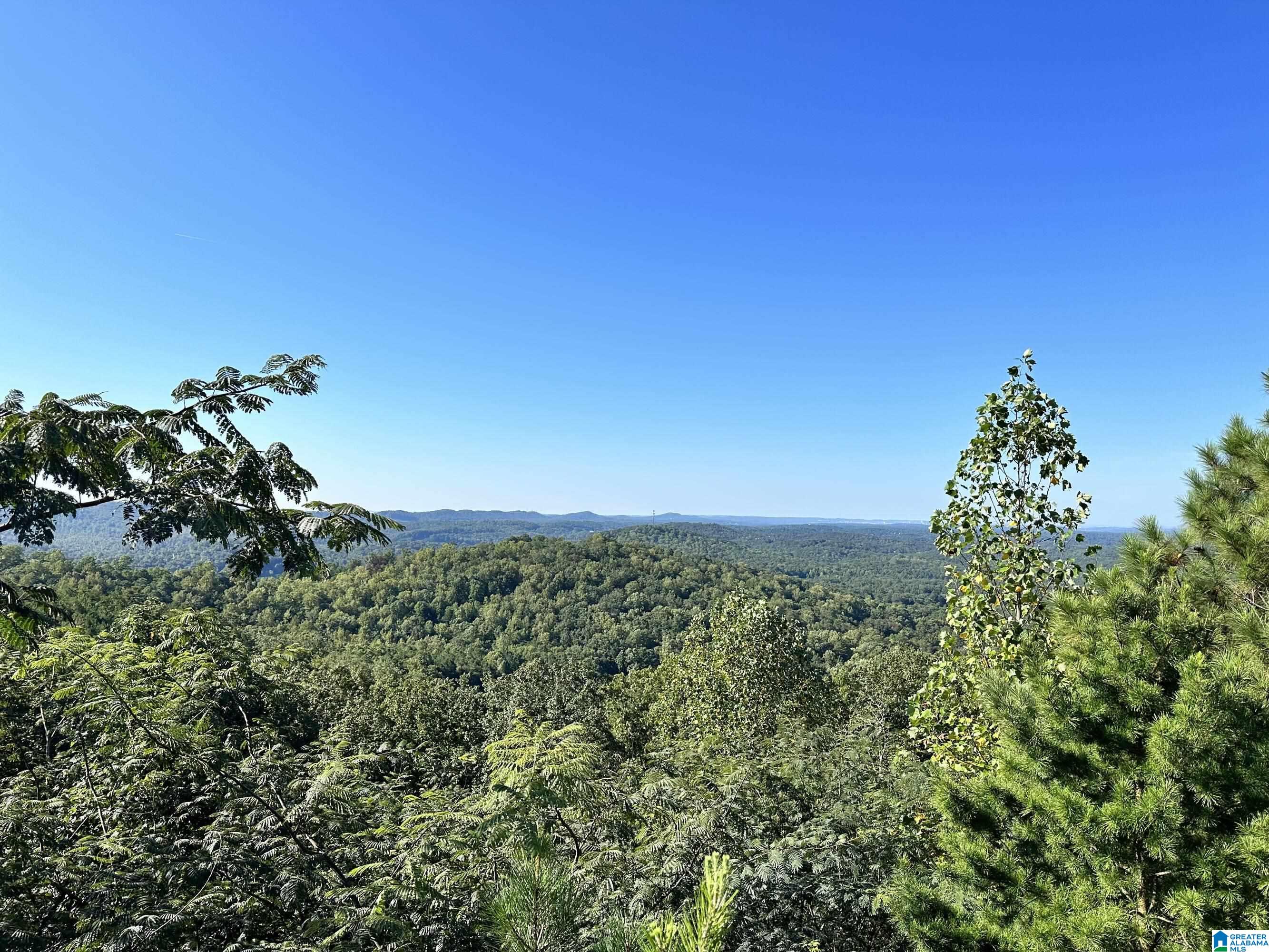 6522 OLD SPRINGVILLE ROAD 1