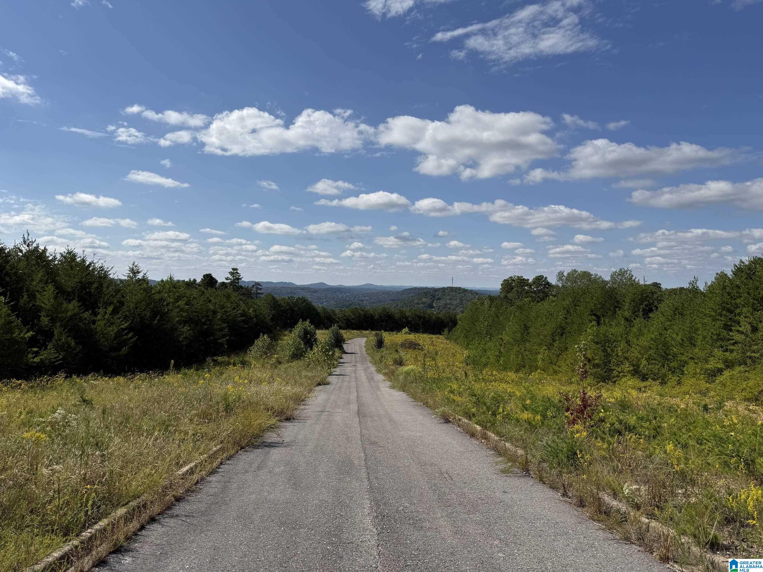 6522 OLD SPRINGVILLE ROAD 1