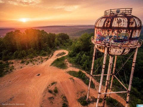 6522 OLD SPRINGVILLE ROAD 1 PINSON AL 35126