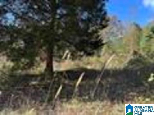 580 COUNTY ROAD 209 # 0, HEFLIN, AL 36264 - Image b80d7a0deda9e6c3797f3fc03676b3ed/1153230944