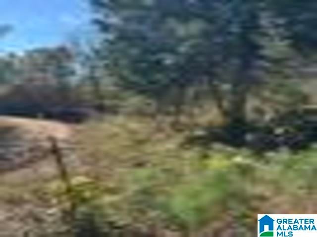 580 COUNTY ROAD 209 0