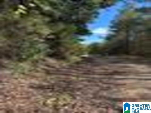 580 COUNTY ROAD 209 0