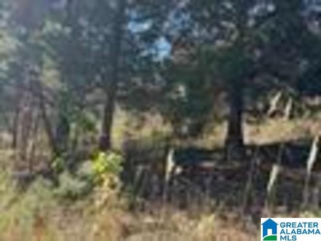 580 COUNTY ROAD 209 0