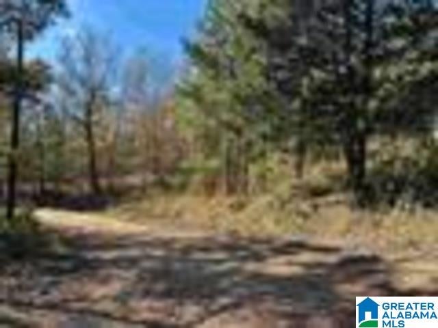 580 COUNTY ROAD 209 0