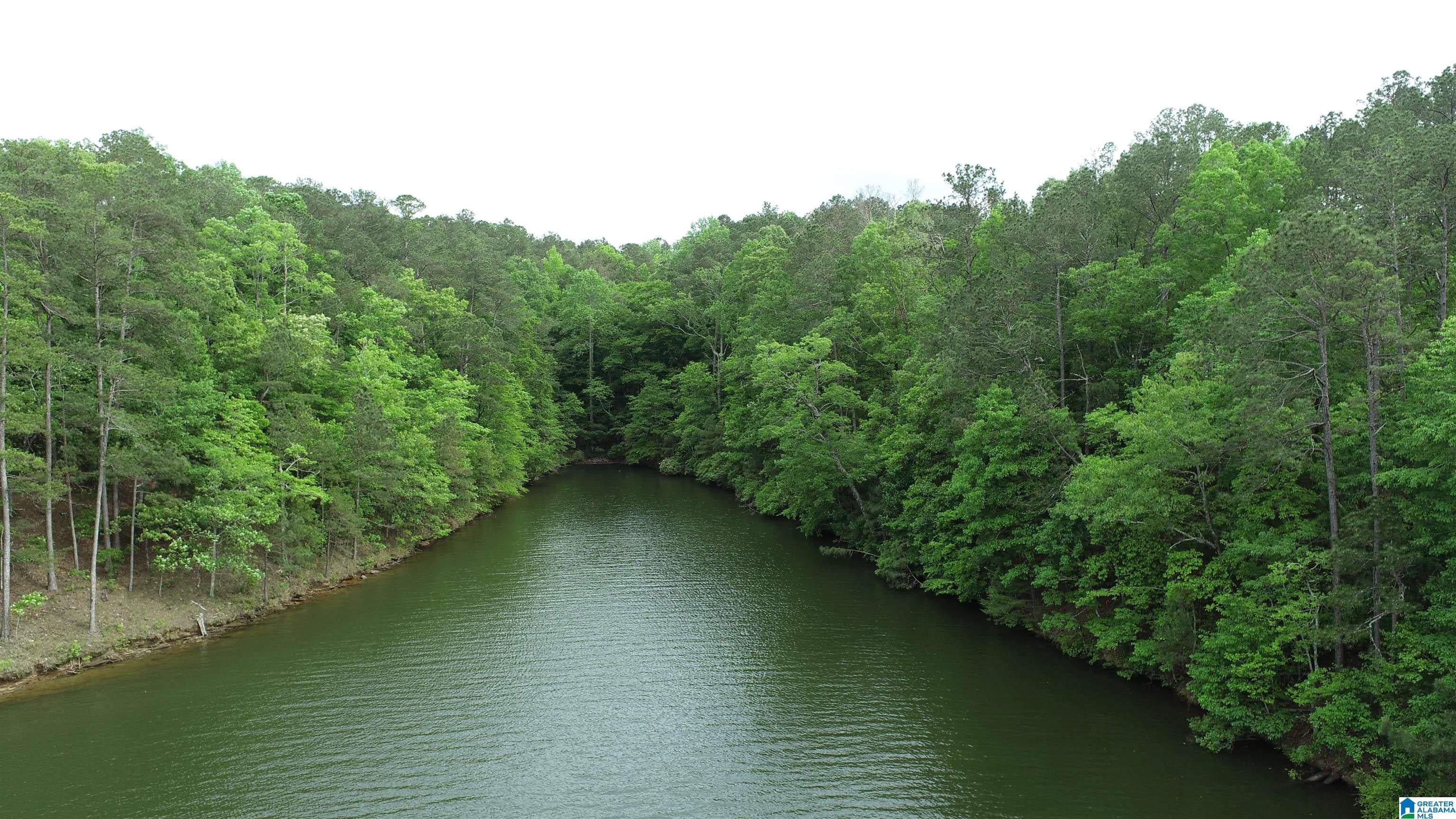 5 COUNTY ROAD 804 5