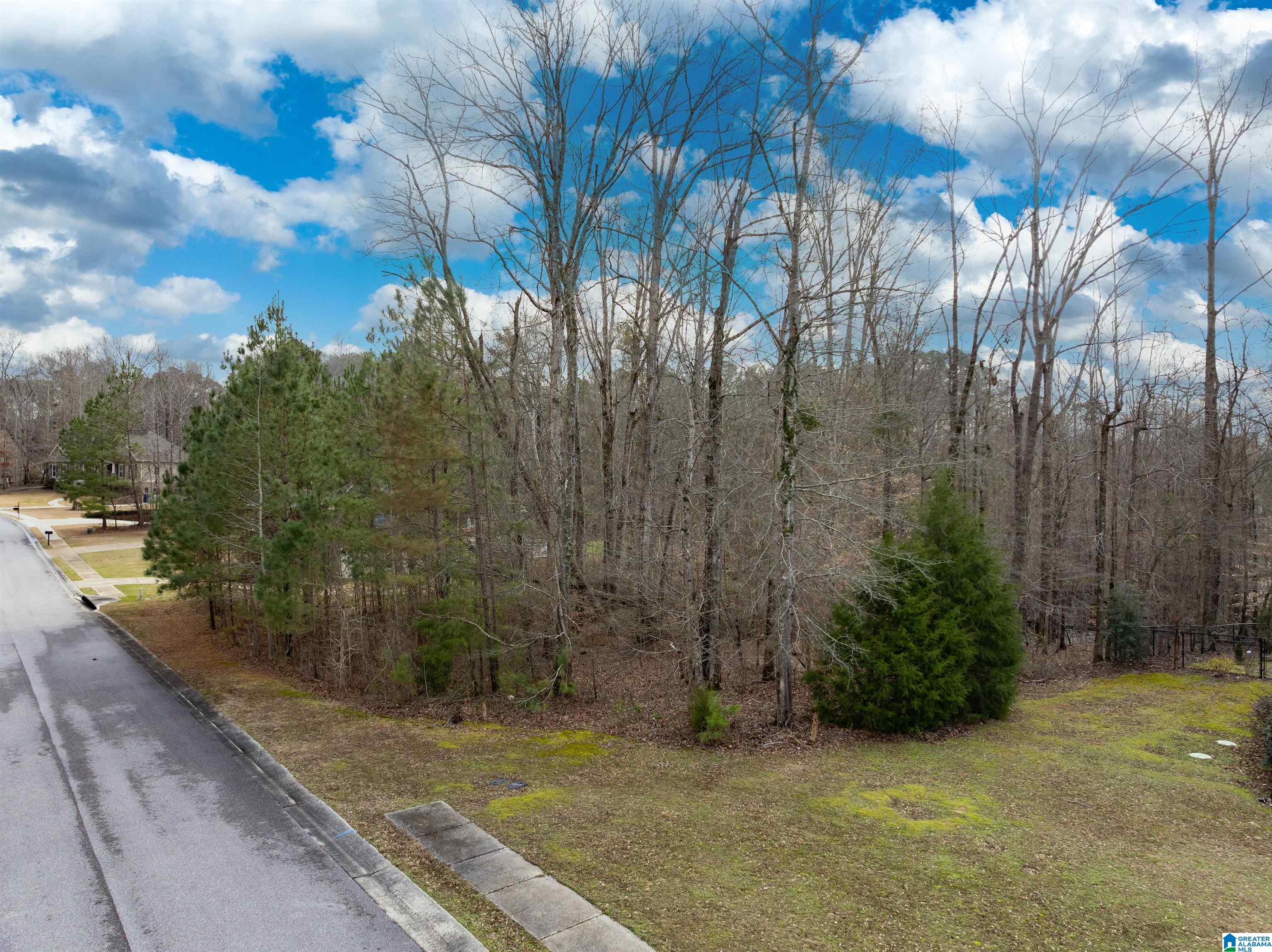 Photo 1 of 18 — 135 GLENSTONE DRIVE 16, COLUMBIANA, AL 35051