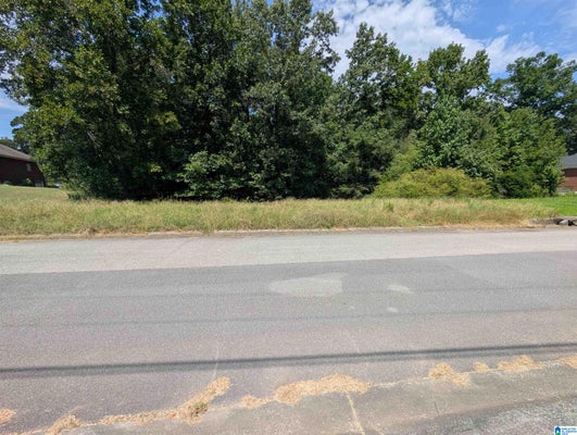 2463 HEMLOCK DR # 181, HUEYTOWN, AL 35023 - Image b861b3afc6fc04dff06fda1d73a2962a/1744940262