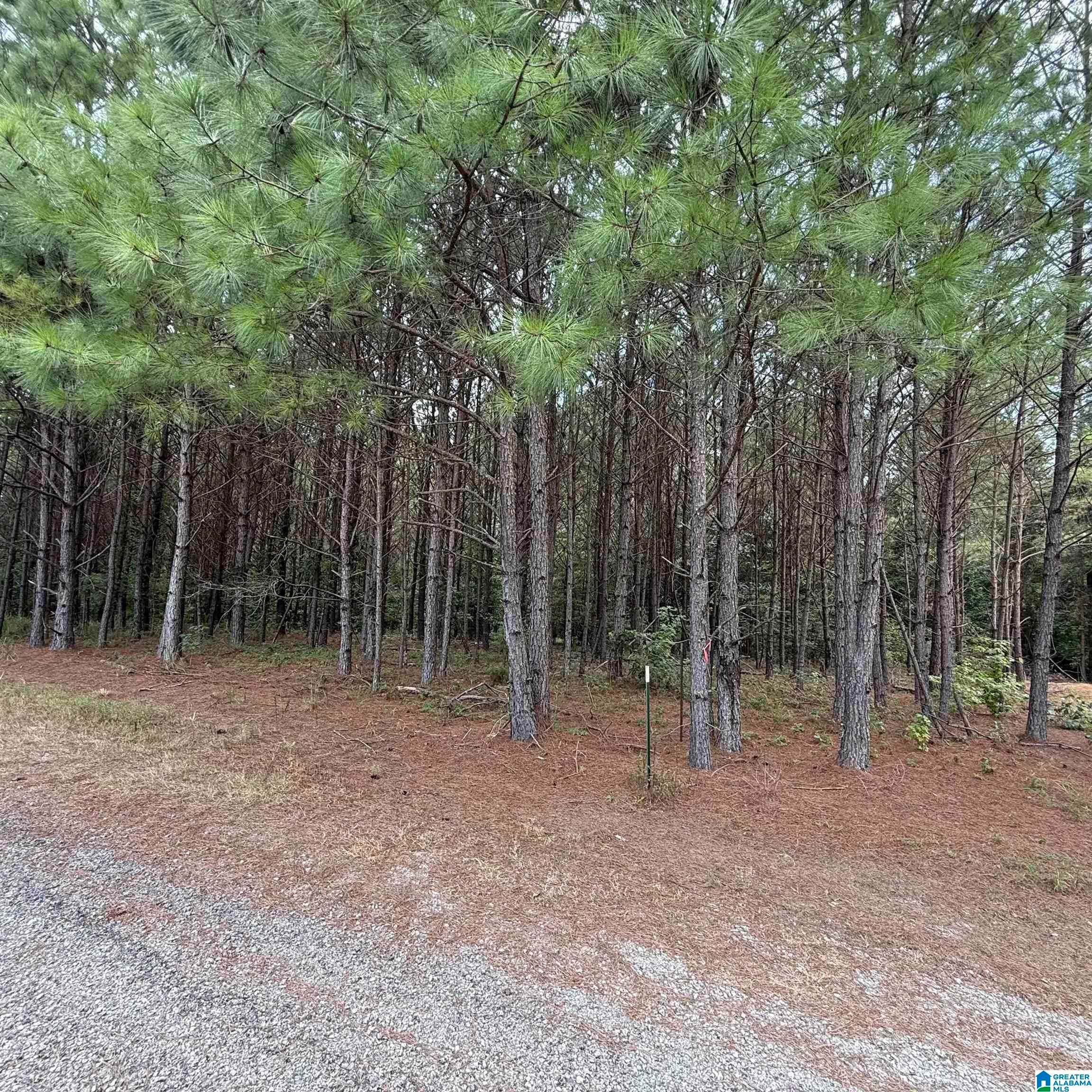 0A PINE LOOP DRIVE