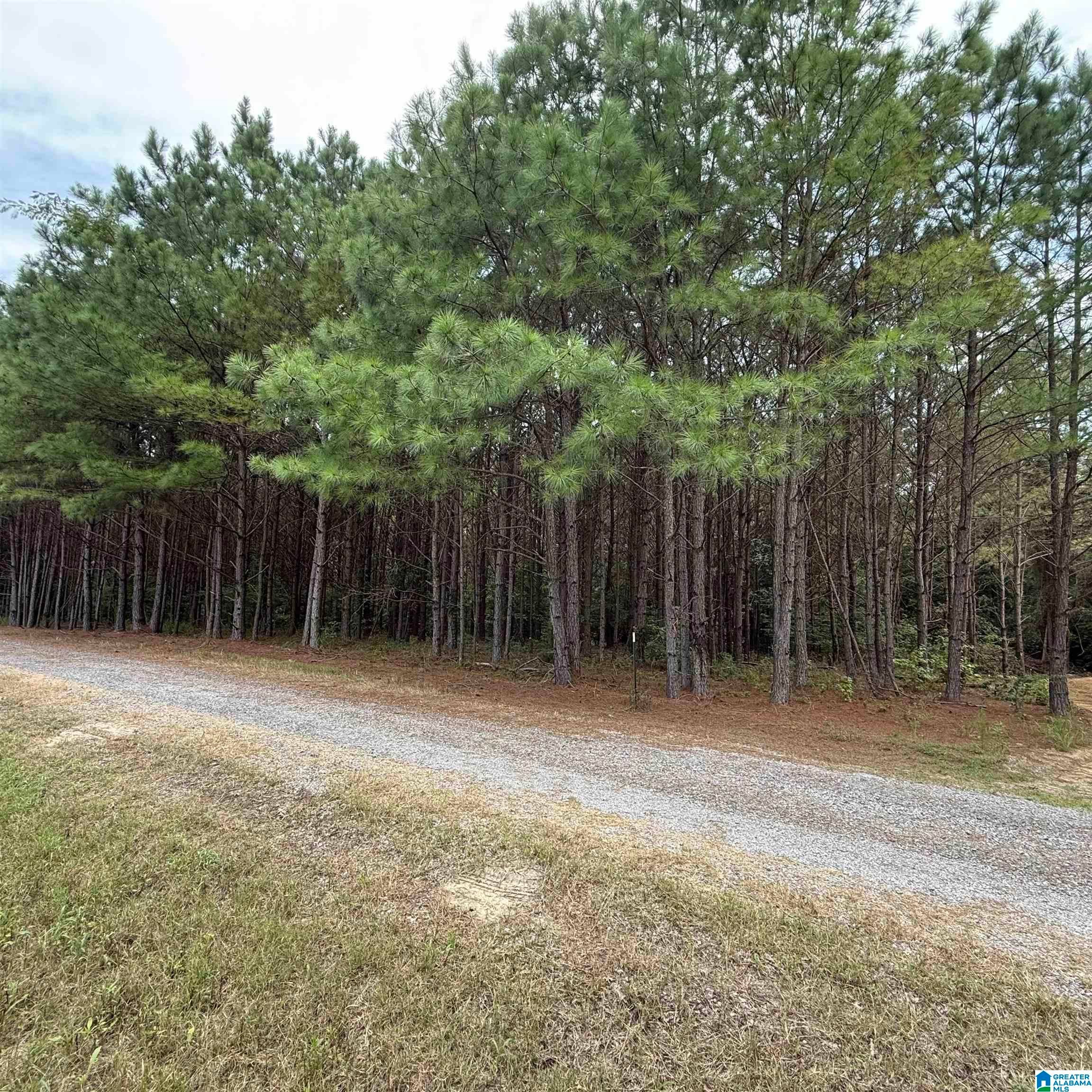 0A PINE LOOP DRIVE