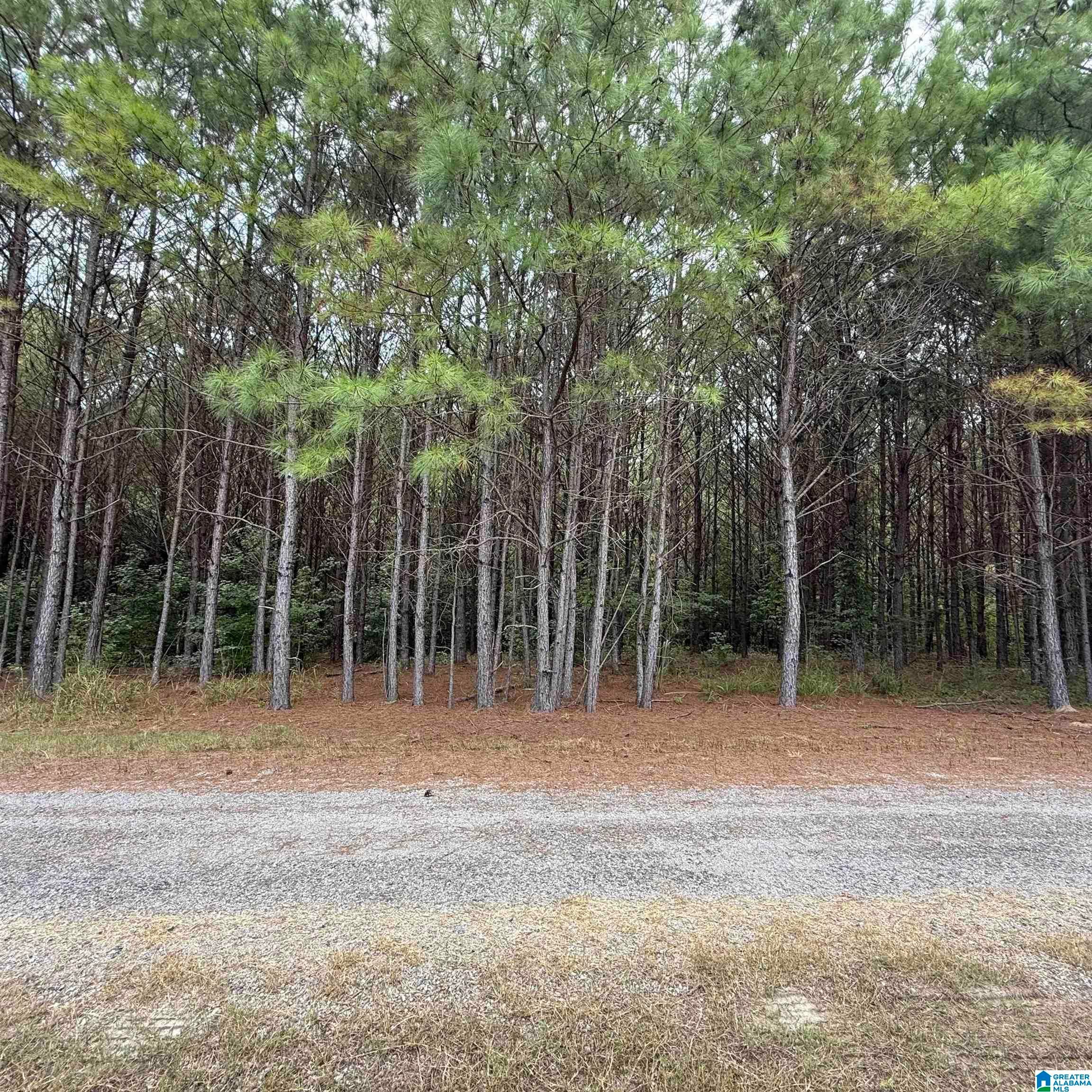 0A PINE LOOP DRIVE