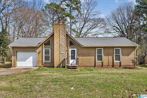 1119 STARTREK LANE BIRMINGHAM AL 35215