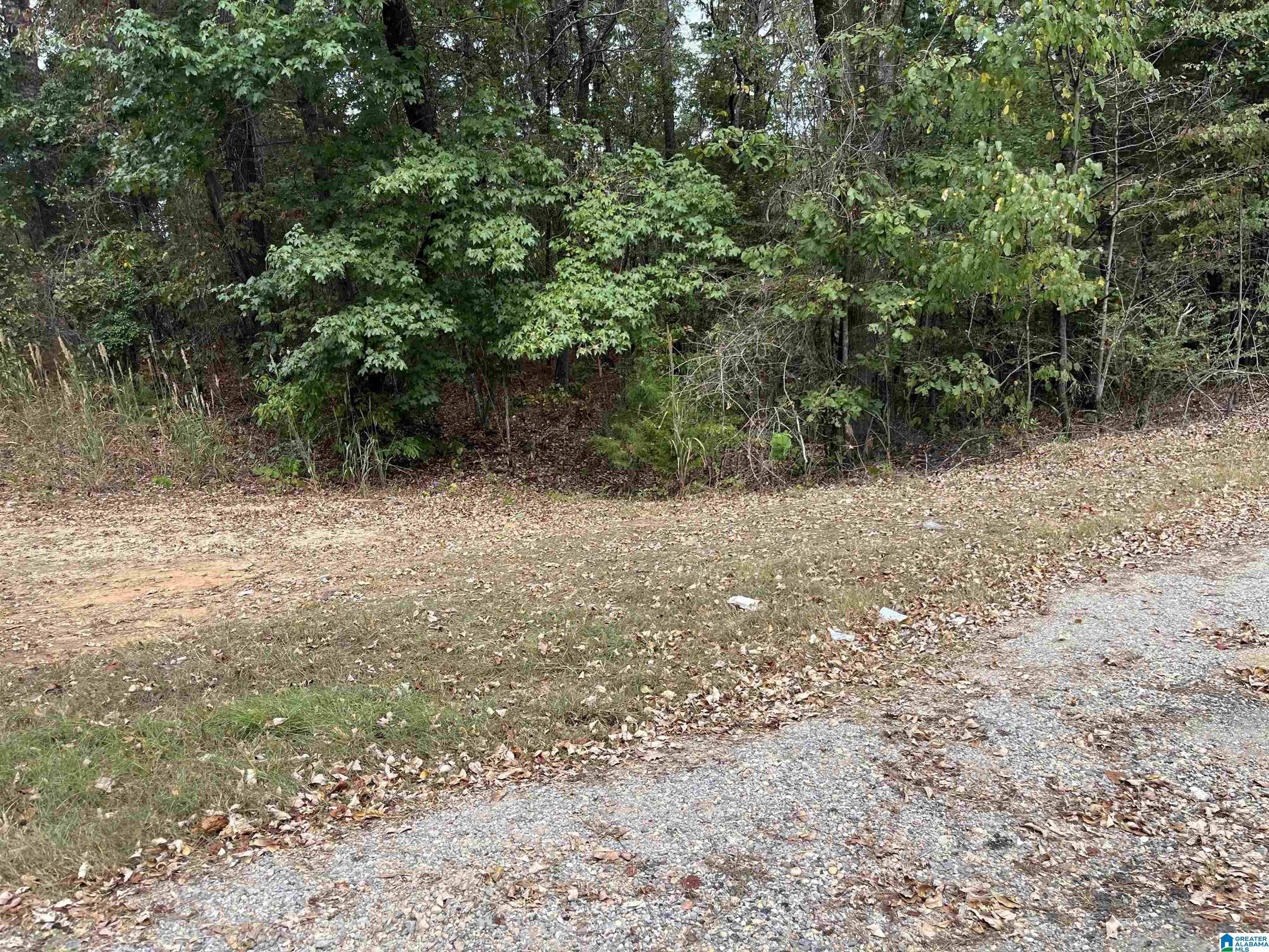 0 DEER CHASE ROAD 16