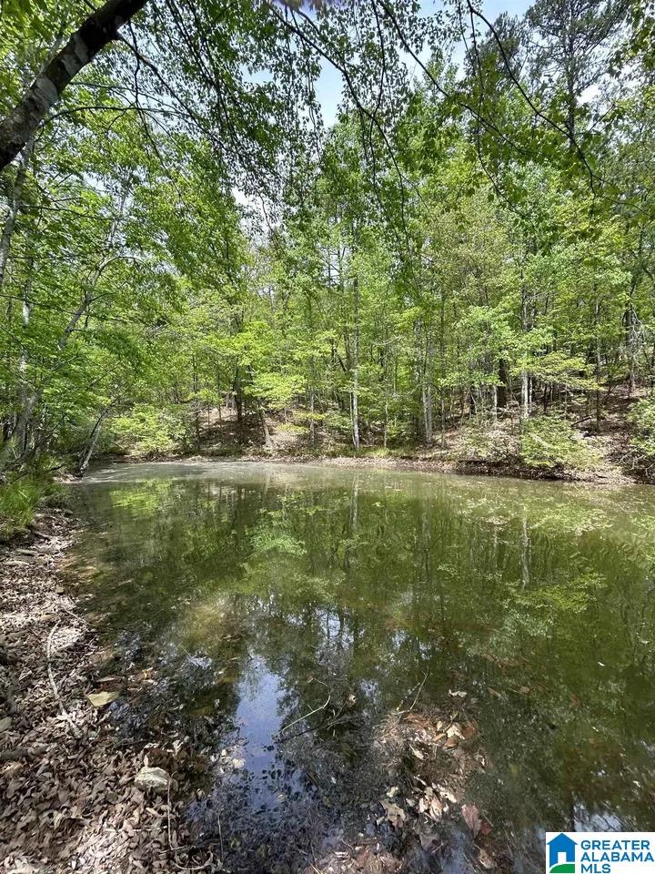 Lots 123 RED CEDAR DRIVE 123